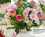 Phalaenopsis Schmetterlingsorchidee bei EDEKA im Görwihl Prospekt für 14,99 €