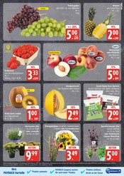 Ähnliche Tulpen Angebote im Prospekt "Top Angebote" von EDEKA in Seevetal Ähnliche Angebote wie Tulpen im Prospekt "Top Angebote" auf Seite 7 von EDEKA in Seevetal