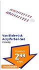 Acrylfarben-Set Angebote von Van Bleiswijck bei Action Erkrath für 2,99 €