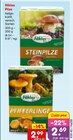 Steinpilze im Angebot bei Netto Marken-Discount in Bergisch Gladbach Steinpilze Angebote von Niklas bei Netto Marken-Discount Bergisch Gladbach für 2,69 €
