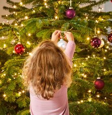 LED-Tannenbaum oder Mikro-LED-Tannenbaumlichterkette bei ALDI SÜD in Leverkusen LED-Tannenbaum oder Mikro-LED-Tannenbaumlichterkette im Angebot bei ALDI SÜD Leverkusen für 9,99 €