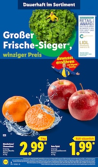 Äpfel im Lidl Prospekt "LIDL LOHNT SICH" mit 76 Seiten (Essen)