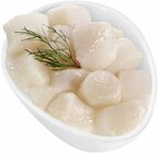 Tiefsee-Scallops ohne Rogen im Angebot bei E center in Karlsruhe Tiefsee-Scallops ohne Rogen Angebote bei E center Karlsruhe für 6,99 €