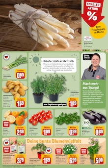 Spargel im aktuellen REWE Prospekt (Chemnitz) Spargel im REWE Prospekt "Dein Markt" mit 32 Seiten (Chemnitz)
