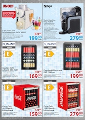 Aktueller Selgros Prospekt mit Coca Cola, "cash & carry", Seite 14