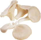 Austernpilze im aktuellen EDEKA Prospekt