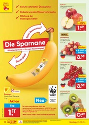 Bananen im Netto Marken-Discount Prospekt in Tübingen Aktueller Netto Marken-Discount Prospekt mit Bananen, "Aktuelle Angebote", Seite 14