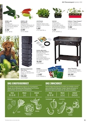 Salat Angebote im Prospekt "Alles Machbar In deinem Garten" von OBI auf Seite 15
