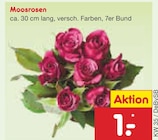 Moosrosen bei Netto Marken-Discount im Beratzhausen Prospekt für 1,00 €