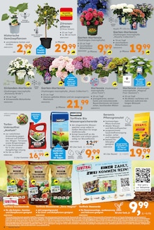 Gartenerde im Globus-Baumarkt Prospekt "Immer eine Idee besser" mit 24 Seiten (Herne)