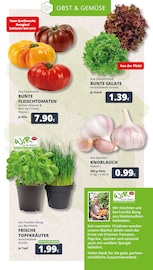 Ähnliche Sauerkraut Angebote im Prospekt "Dein Markt" von REWE in Köln Ähnliche Angebote wie Sauerkraut im Prospekt "Dein Markt" auf Seite 11 von REWE in Köln