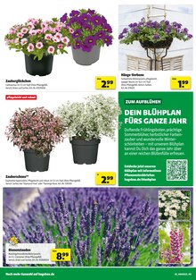 Aktueller Hagebaumarkt Prospekt "SO günstig geht das!" Aktueller Hagebaumarkt Prospekt