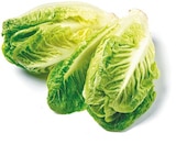 Mini Romana für 0,99 € bei Netto mit dem Scottie im Angebot Mini Romana im aktuellen Netto mit dem Scottie Prospekt