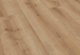 Laminat „Eiche Pure“ Angebote bei toom Baumarkt Potsdam für 19,65 €