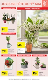 Bambou en promo dans le catalogue Carrefour à la page 77