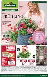 Pflanztopf im Dehner Garten-Center Prospekt "HALLO FRÜHLING!" auf Seite 1