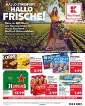 Aktueller Kaufland Supermarkt Prospekt in Staßfurt und Umgebung, "Aktuelle Angebote" mit 48 Seiten, 25.04.2024 - 30.04.2024