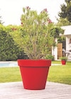 Promo Pot Toscane à 44,90 € dans le catalogue Espace Emeraude à Sainte-Pazanne