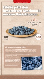 Penny Heidelbeeren im Prospekt 