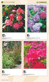 Hortensia Angebote im Prospekt "JARDIN D'AUTOMNE" von Intermarché Hortensia Angebote im Prospekt "JARDIN D'AUTOMNE" von Intermarché auf Seite 4