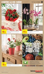 Offre Jardin dans le catalogue Intermarché Super du moment à la page 13