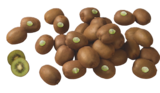 Bio-Kiwi grün von  im aktuellen tegut Prospekt für 0,49 €