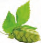 Aktuelles Urtyp Bier Angebot bei EDEKA in Stade (Hansestadt) ab 11,99 €