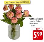E center Dahn - Dahlienstrauß Angebot im Prospekt Dahlienstrauß bei E center im Dahn Prospekt für 5,99 €