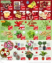 Aktueller Kaufland Prospekt mit Orchidee, "Aktuelle Angebote", Seite 10