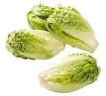 Aktuelle Salat Angebote bei REWE in Bochum Aktuelles Römersalat Extra fein Angebot bei REWE in Bochum ab 1,79 €