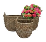 Aktuelle Blumentopf Angebote bei Hagebaumarkt in Mainz Aktuelles Pflanzkorb Angebot bei Hagebaumarkt in Mainz ab 14,99 €
