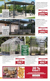 Aktueller Dehner Garten-Center Prospekt mit Blumenzwiebeln, "Aktuelle Angebote", Seite 8