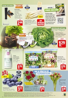 Geranien im EDEKA Prospekt "Aktuelle Angebote" mit 49 Seiten (Saarbrücken)
