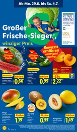 Lidl Mango im Prospekt 