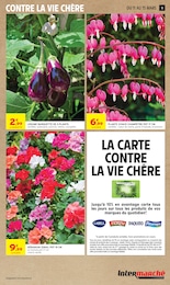 Offre Plante Verte dans le catalogue Intermarché Super du moment à la page 11