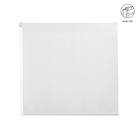 ROLLO halbtransparent 75/160 cm im Angebot bei XXXLutz in Amberg ROLLO halbtransparent 75/160 cm Angebote von Homeware bei XXXLutz Amberg für 17,59 €