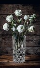 Vase von Nachtmann im aktuellen Möbel Inhofer Prospekt für 17,95 €