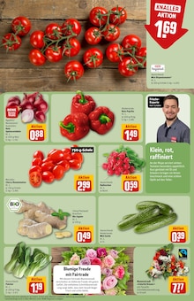 Tomaten im REWE Prospekt "Dein Markt" mit 28 Seiten (Berlin)