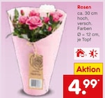 Rosen im aktuellen Netto Marken-Discount Prospekt