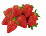 Erdbeeren  im aktuellen Netto Marken-Discount Prospekt für 1,49 €