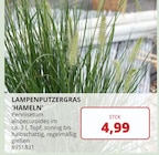 Angebot im BBM Baumarkt Barsinghausen Prospekt BBM Baumarkt Barsinghausen Prospekt mit im Angebot für 4,99 €