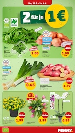 Blumen im Penny Prospekt in Kassel Aktueller Penny Prospekt mit Blumen, "Wer günstig will, muss Penny.", Seite 5