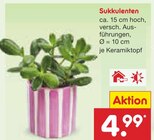Sukkulenten Angebote bei Netto Marken-Discount Neu-Ulm für 4,99 €