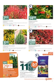 Promos Photinia dans le catalogue "LES 12J QUI COLORENT VOTRE AUTOMNE !" de Jardiland Photinia en promo dans le catalogue Jardiland à la page 7