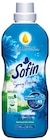 Weichspüler von Sofin im aktuellen Netto mit dem Scottie Prospekt