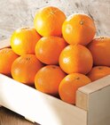 Promo Mandarine à 2,49 € dans le catalogue Intermarché Express à Évian-les-Bains