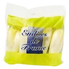 Endive - SANS - Carrefour Endive - SANS à 2,00 € dans le catalogue Carrefour