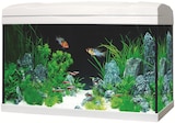 Marina Aquarium im Angebot bei Fressnapf in Augsburg Marina Aquarium Angebote bei Fressnapf Augsburg für 79,99 €
