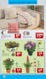 Offre Fleurs d'extérieur dans le catalogue Aldi du moment à la page 42