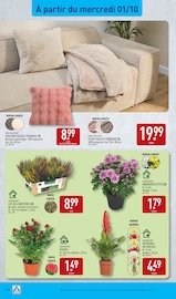 Plante Verte Angebote im Prospekt "NOS ARRIVAGES PAYS GOURMAND" von Aldi auf Seite 42